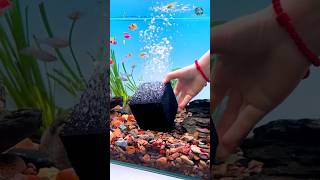 Testing Activated Carbon Filter Cubes  Aquarium Water Purifier 😱 gadgets shorts carbon video [upl. by Haslett]