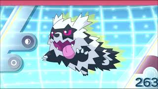 Alolan Zigzagoon Pokédex Entry  Just A Scones Throw From Here [upl. by Ivzt283]