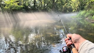 Trout Fishing with TROUT MAGNET in Small CREEK [upl. by Oslec]