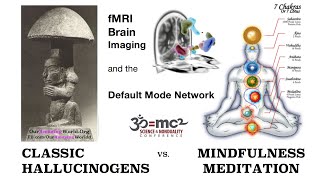 fMRI Brain Imaging Classic Hallucinogens vs Mindfulness Meditation • Science of the Self [upl. by Ulah]