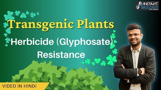 Herbicide Glyphosate Resistance in Transgenic Plants geneticengineering plantbiotechnology [upl. by Anirok745]