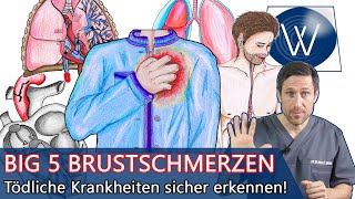 Brustschmerzen  Die Big 5 Die schlimmsten Ursachen amp Krankheiten bei Schmerzen in der linken Brust [upl. by Carmelo]