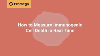 How to Measure Immunogenic Cell Death in Real Time [upl. by Aiela821]