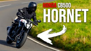 Honda CB500 Hornet Review Does it Belong in the Hive [upl. by Atinauq574]