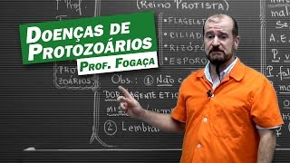 Biologia  Doenças de Protozoários [upl. by Pinsky]