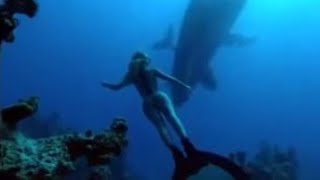 Amazing Swimming with Humpback Mother amp Calf  Diving with Whales  BBC Studios [upl. by Akessej]