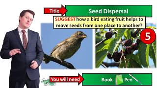 Seed Dispersal  Biology  Key Stage 3  Mr Deeping [upl. by Yerocaj]