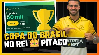 dicas REI DO PITACO HOJE Copa do Brasil 2024 vamos Mita reidopitaco [upl. by Perle193]