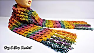 Easy Crochet Scarf  Crochet unisex scarf  Bag O Day Crochet Tutorial 550 [upl. by Sukcirdor905]