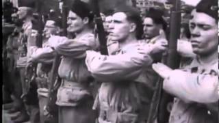 Liberation of Paris The Paris Story WW2 History Documentary Video 1944 [upl. by Hannavahs]