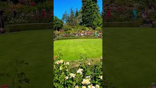 Rose Garden Butchart gardens  Watch full tour at Gillan Travels shorts canada rose garden [upl. by Cas447]