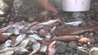 I Pescatori di Roseto Capo Spulico [upl. by Aydin]