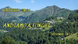 Valsesia 2024 Andiamo a funghi Settembre 2024 [upl. by Merci364]