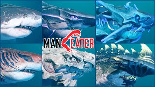 ALL XXL SHARKS UNLOCKED  HUNGRY SHARK WORLD  NEW SHARK GAMEPLAY [upl. by Aretha]