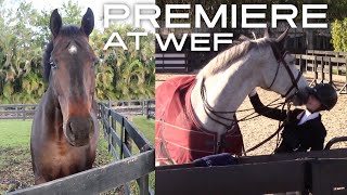 WEF premiere horse show vlog [upl. by Corby]