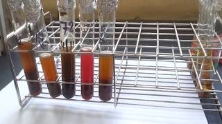 Pigments of various anaerobic bacteria [upl. by Sproul883]