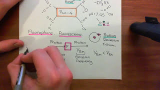 Measuring Intracellular Calcium with Fluo4 Part 3 [upl. by Dhiman]