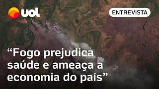 Fogo e desmatamento ilegal são ameças para a economia nacional diz pesquisador do Inpe [upl. by Sternberg]