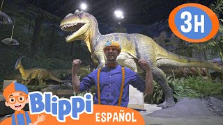 Blippi aprende sobre dinosaurios  Blippi Español  Videos educativos para niños  Aprende y Juega [upl. by Whelan]