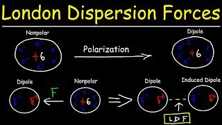 London Dispersion Forces amp Temporary Dipole  Induced Dipole Interactions  Intermolecular Forces [upl. by Christin]