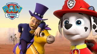 A Patrulha Pata salva o Humdinger do rodeo  Patrulha Pata PAW Patrol Episódio Português [upl. by Acinoreb741]