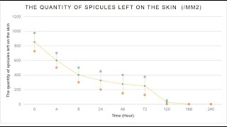 Where sponge spicules go after entering into skin [upl. by Aramoy]