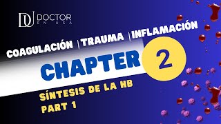 2 Síntesis de la hemoglobina  PARTE 1  USMLE Steps  MIR  ENARM  EUNACOM [upl. by Longawa]