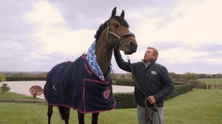 Mark Beever Nicks groom pays tribute to Nick Skelton and Big Star [upl. by Dasha43]