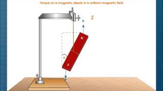 Torque on a Magnetic Dipole [upl. by Leelah]