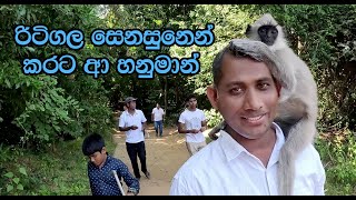 අසිරිමත් රිටිගල සෙනසුන් අරණ [upl. by Adlar]