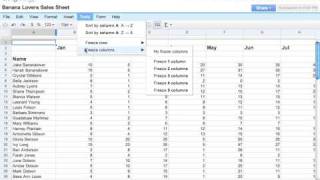 Freezing Rows and Columns in a Google Spreadsheet [upl. by Emoreg213]