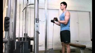 Gerakan Latihan Otot Bicep  Cable Biceps Curl Low Pulley [upl. by Laurance]