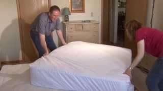 How to Prevent Bed Bugs from Infesting a Bed [upl. by Acimaj308]