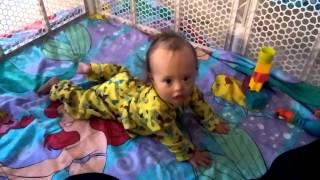 Down Syndrome Boy With Infantile Spasms Crawls at 14 months [upl. by Ahtnammas]