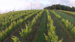 Drone  Château Mercier Côtes de Bourg Bordeaux [upl. by Layod849]