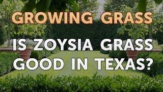 Is Zoysia Grass Good in Texas [upl. by Nanam387]