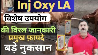 ऑक्सी LA इंजेक्शन कब खतरा Oxy LA Injection Veterinary uses in hindi  Oxytetracycline la injection [upl. by Selina557]