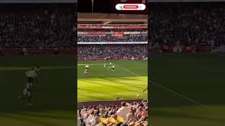 Arsenal vs Southampton 31 All Goals and Extended Highlights  premier league 202425 [upl. by Udenihc]