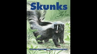 SKUNKS  Informational Text [upl. by Shaer754]