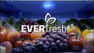 Did you meet Beko Everfresh® refrigerators [upl. by Spieler]