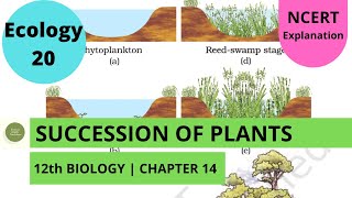 Ecology 20  Ecosystem Succession of Plants 12th Bio CH 14 [upl. by Atekihc729]