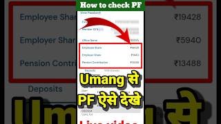 How to check PF in Umang App  PF बैलेंस ऐसे देखे  PF balance Check technicalmp [upl. by Evie]