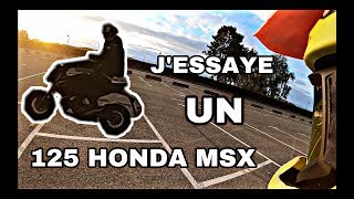 JESSAYE UNE 125 HONDA MSX [upl. by Aihsakal]