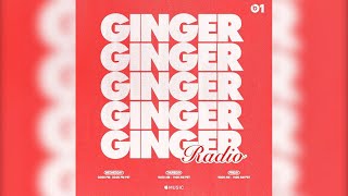 GINGER RADIO EPISODE 1 82119  BROCKHAMPTON [upl. by Adnor]