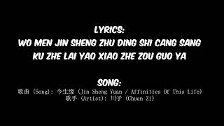 Stop or Sing In Chinese Meme Template  今生缘 Jin Sheng Yuan Affinities Of This Life 川子 [upl. by Anrehs]