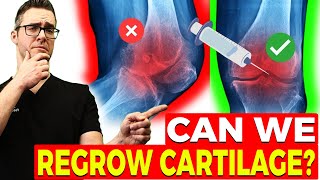 Can We Reverse Arthritis amp Regrow Cartilage New Studies [upl. by Aztiram]