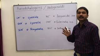 Pseudohalogens  Pseudohalides  Halogenoids [upl. by Isbel]