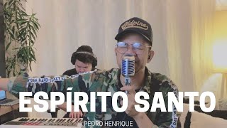 Espírito Santo  Pedro Henrique COVER [upl. by Enytsuj]