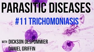 Parasitic Diseases Lectures 11 Trichomoniasis [upl. by Senilec]