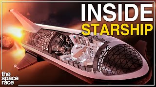 What Life Inside The SpaceX Starship Will Be Like [upl. by Scotti695]